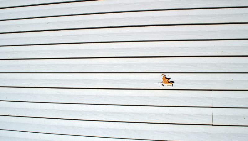 Siding Damage Fixing Process